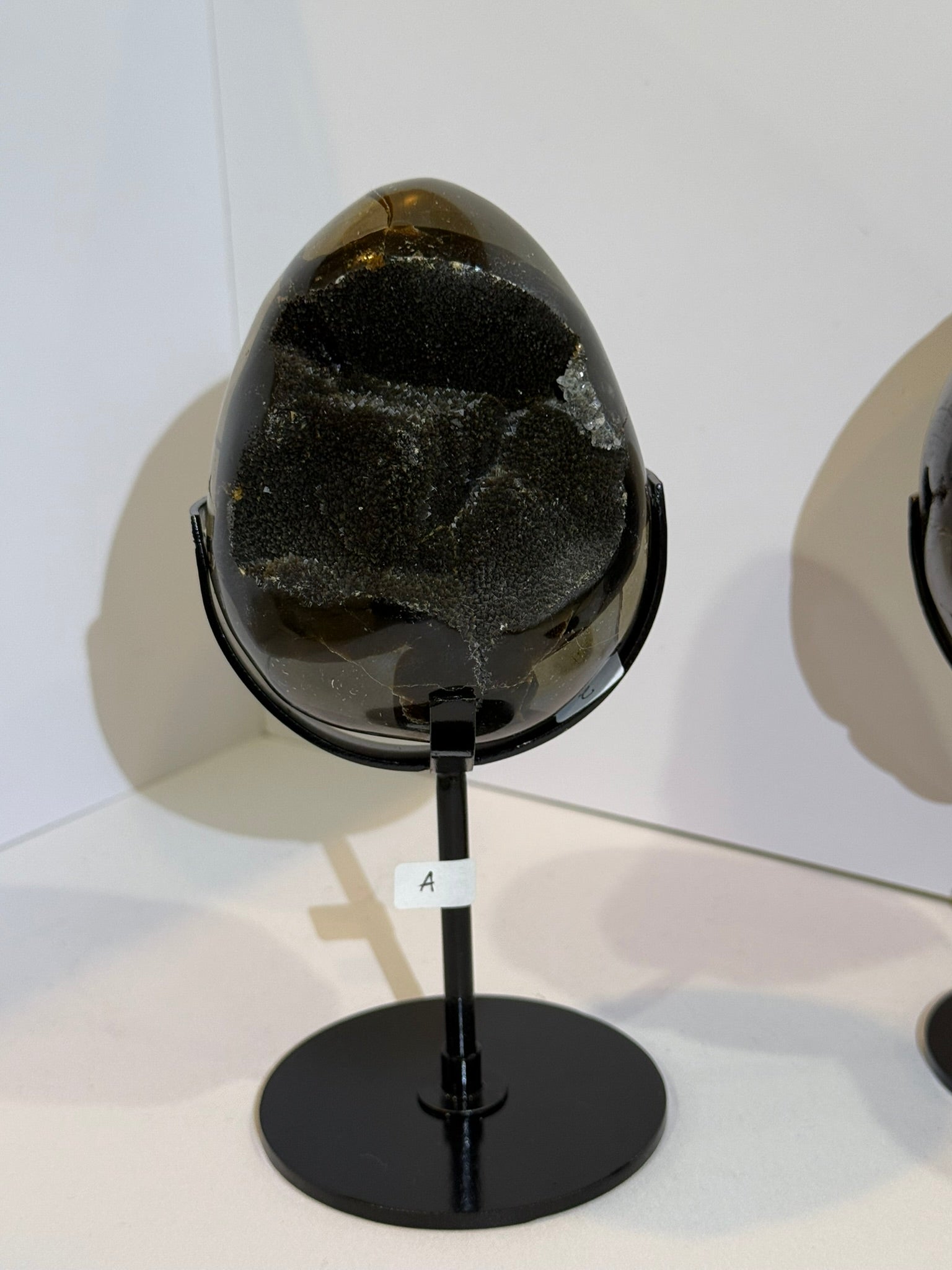 Septarian Dragon Egg with Black Stand