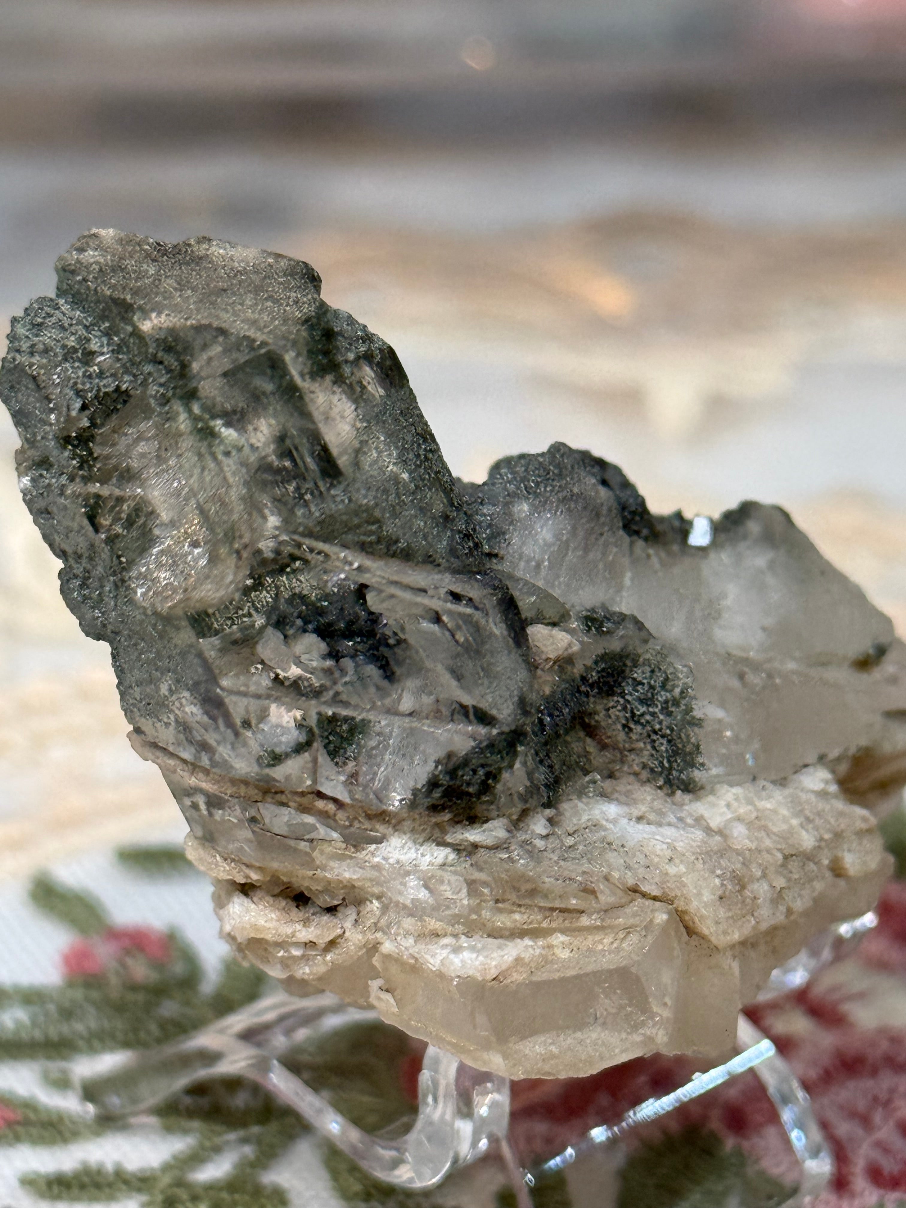 Chlorite included Tectonic Quartz Specimen