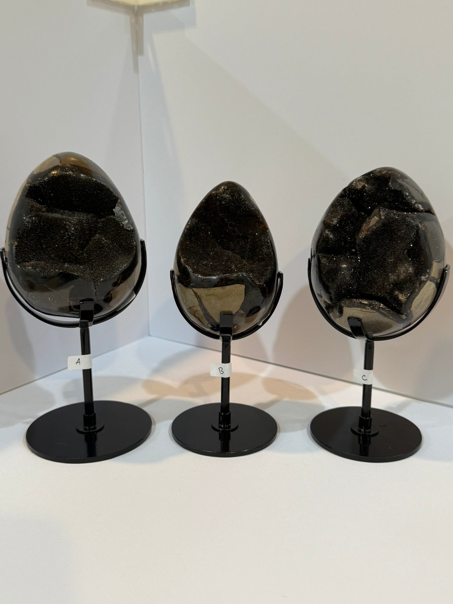 Septarian Dragon Egg with Black Stand