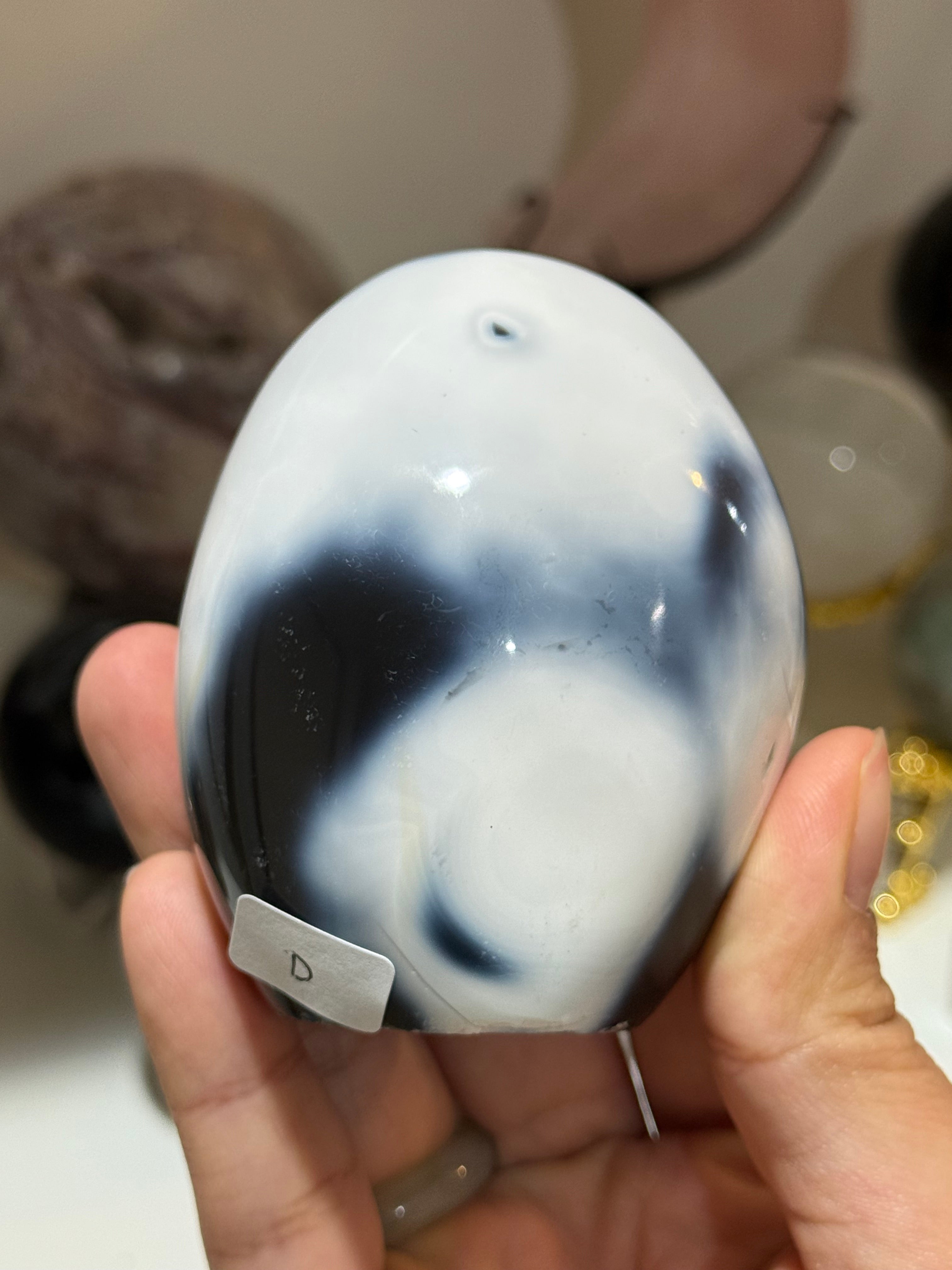 Orca Agate Cut Base Freeform