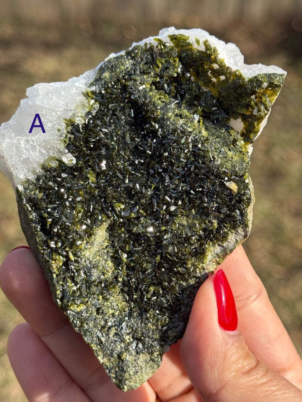 Epidote/Forest Fairy Quartz Specimens (Epidosite)