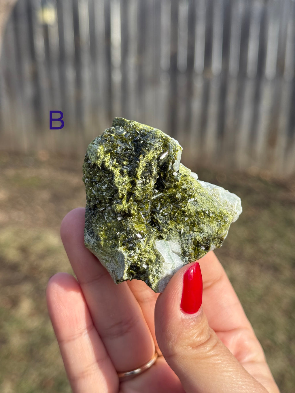 Epidote/Forest Fairy Quartz Specimens (Epidosite)