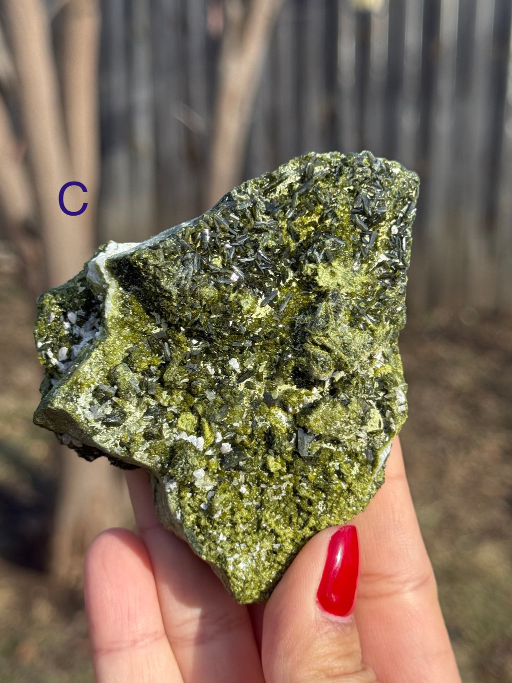 Epidote/Forest Fairy Quartz Specimens (Epidosite)