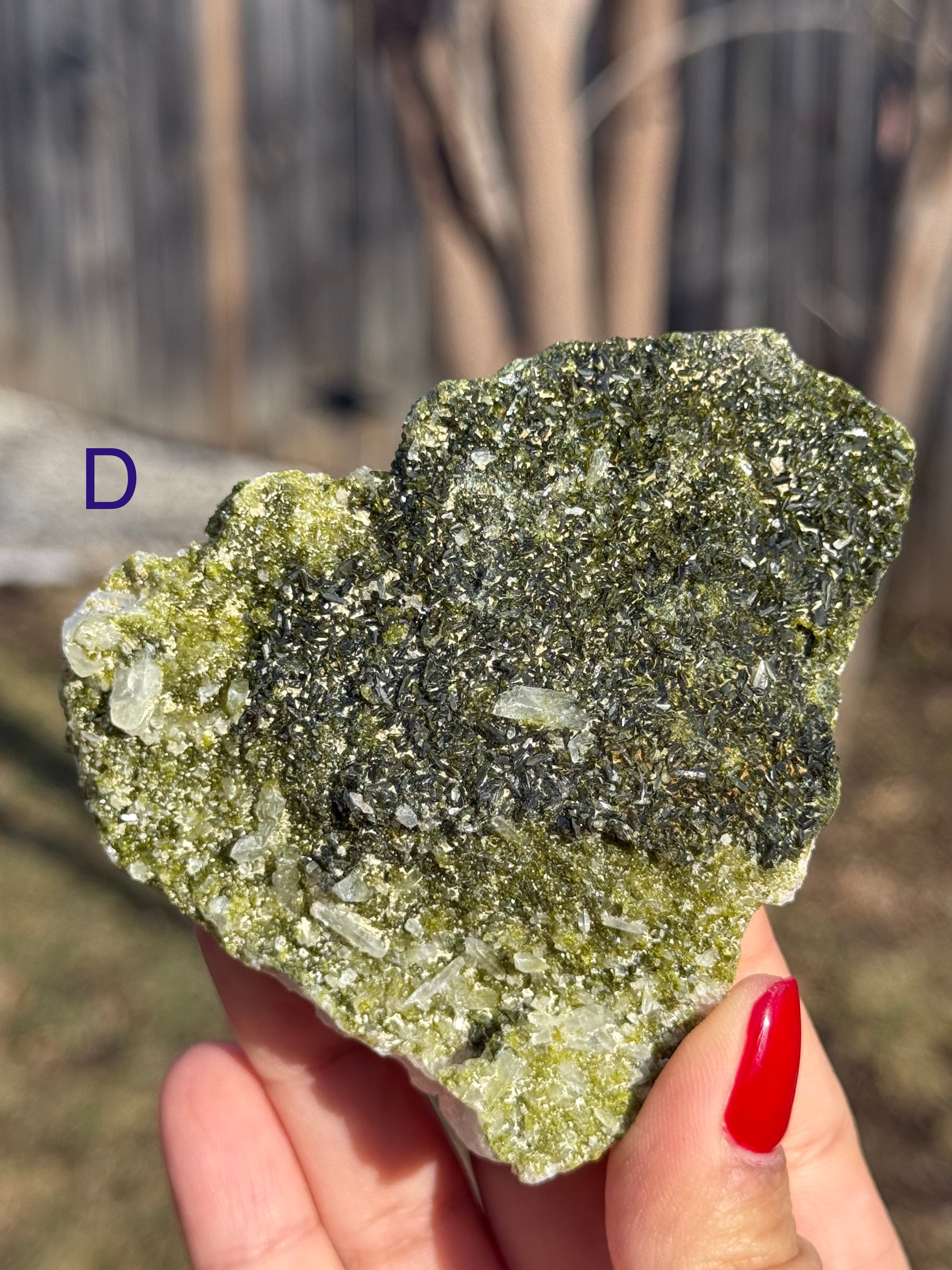 Epidote/Forest Fairy Quartz Specimens (Epidosite)