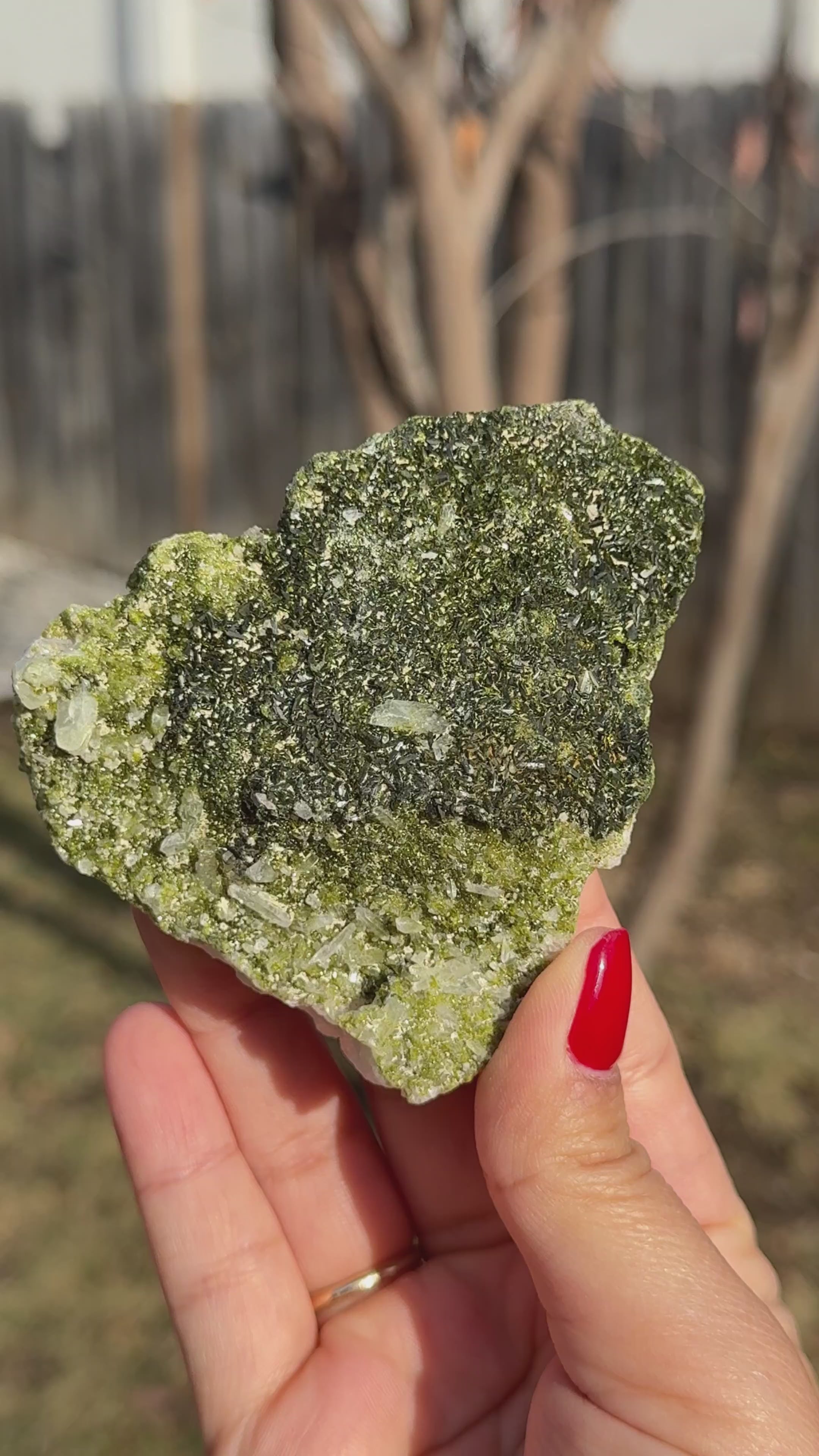 Epidote/Forest Fairy Quartz Specimens (Epidosite)