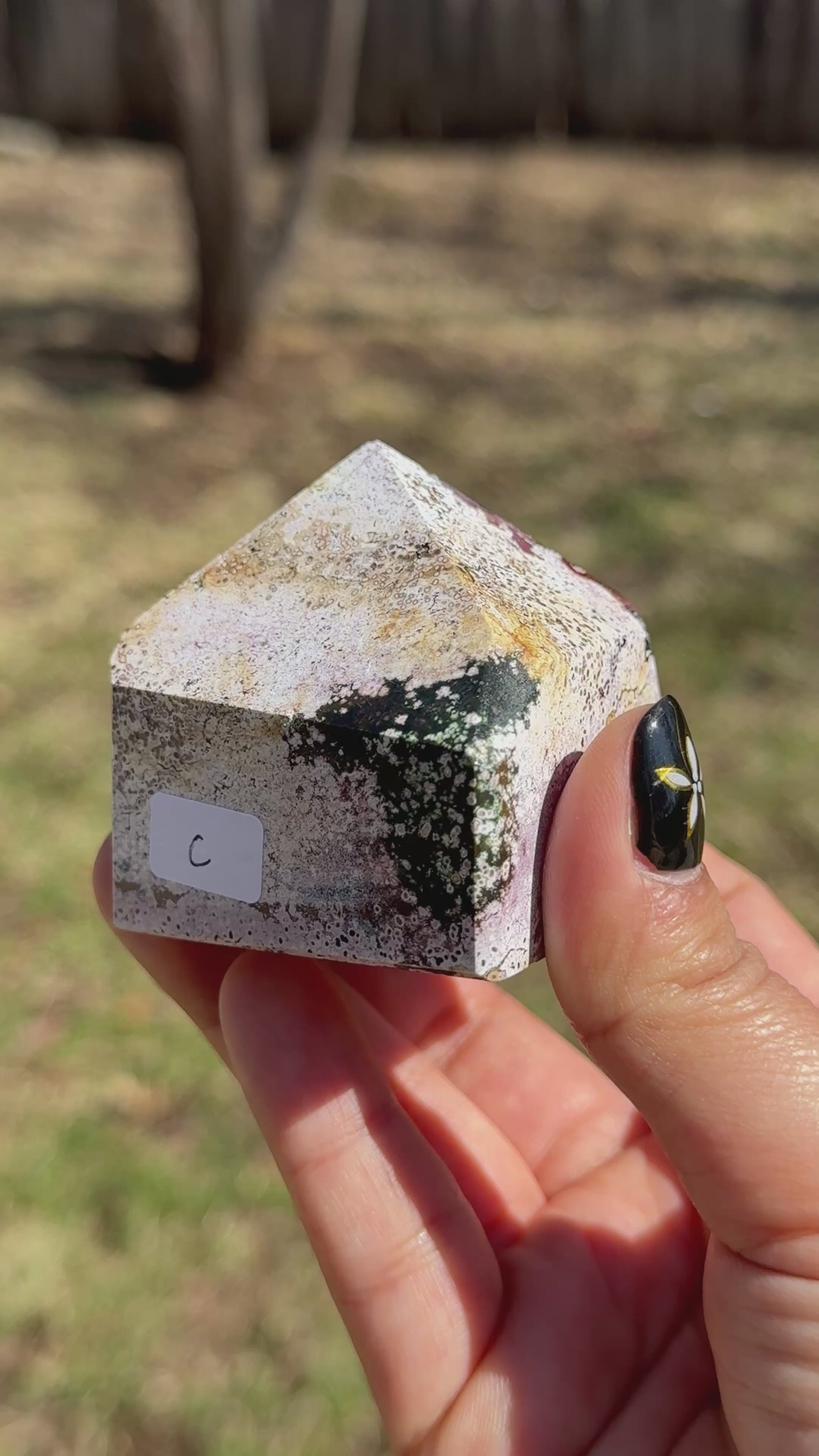 Unicorn Jasper Freeforms