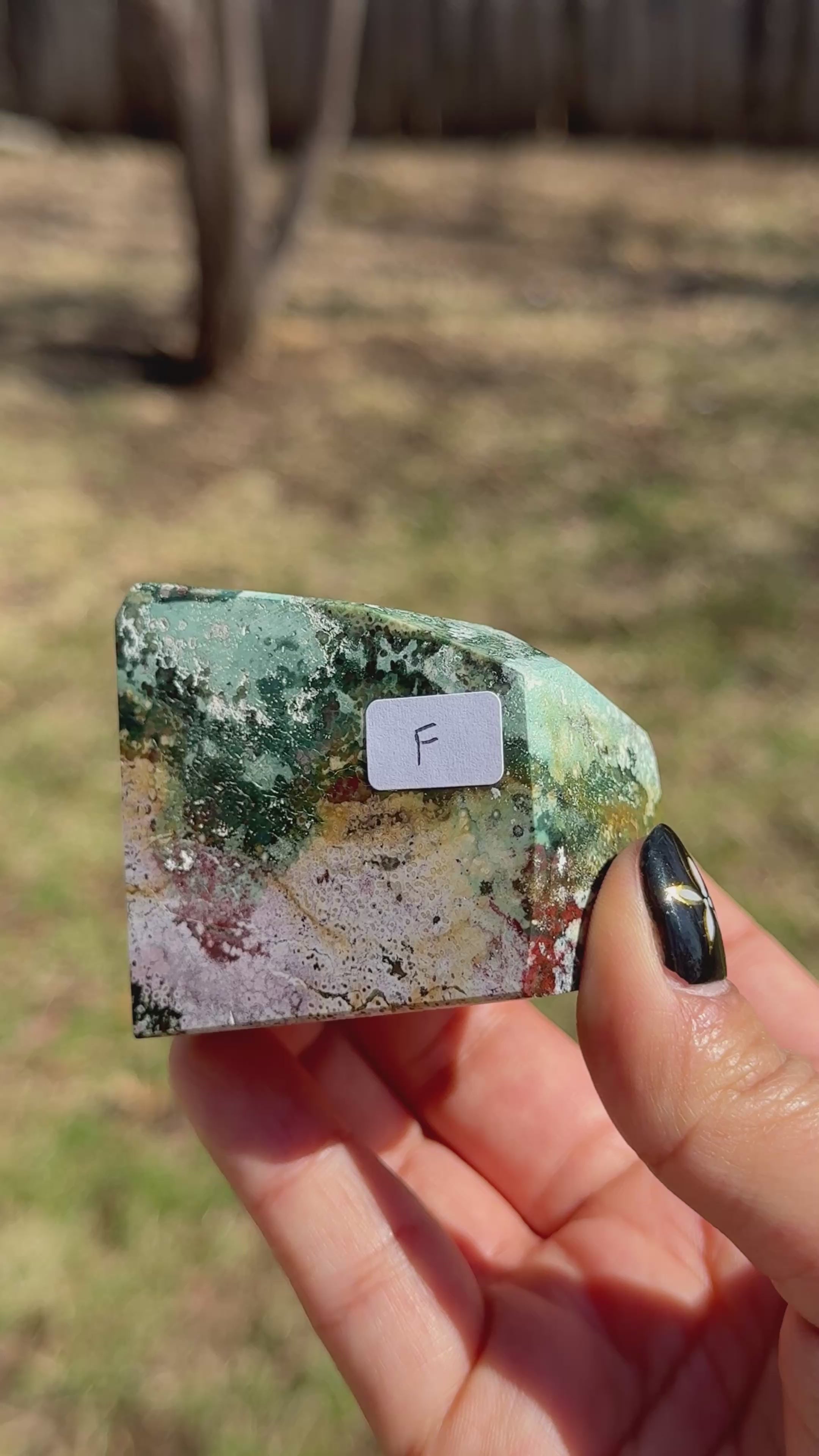 Unicorn Jasper Freeforms