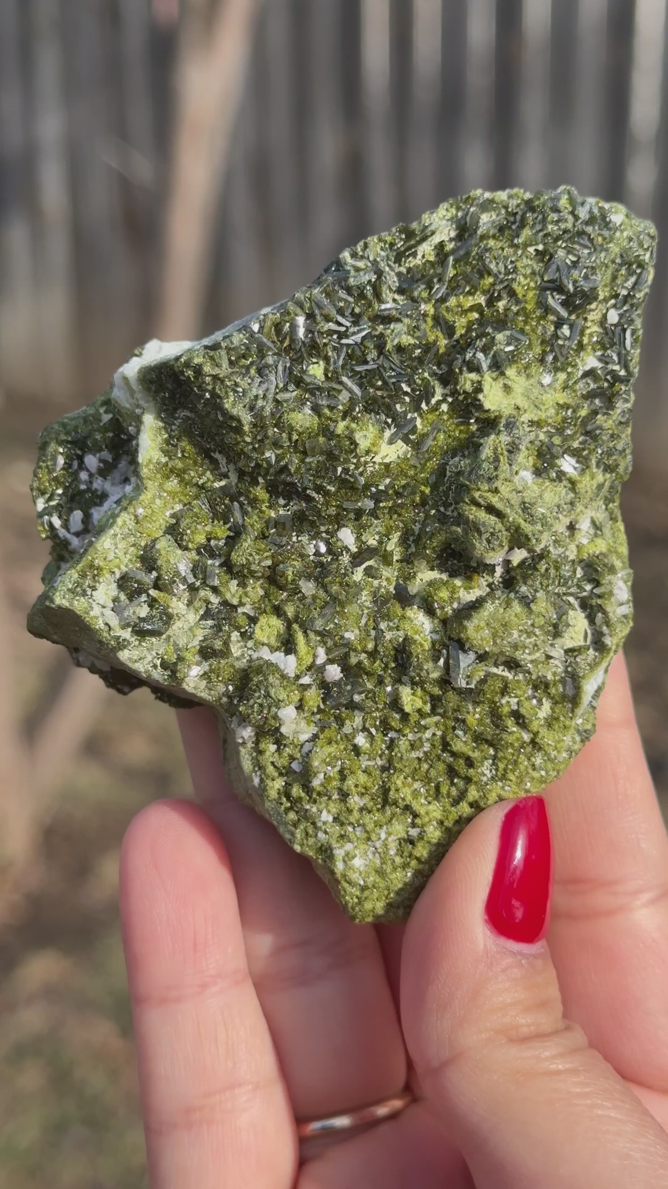 Epidote/Forest Fairy Quartz Specimens (Epidosite)